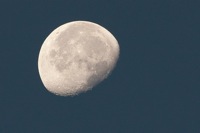 Morning Moon False Cape State Park, VA IMG_7597